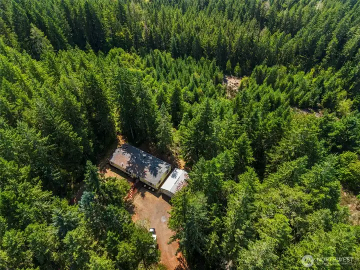 Private location nestled in among the trees