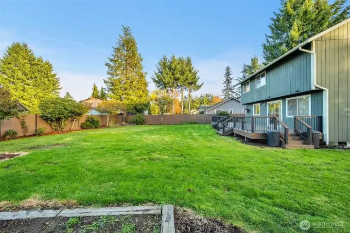 Fantastic back yard!