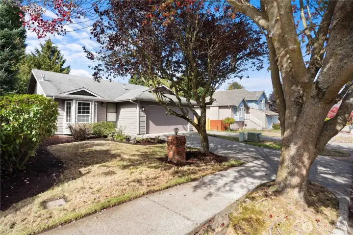 Sidewalks , trees, shopping close by!  Fabulous neighborhood