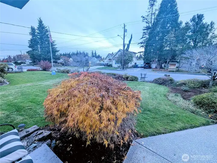 Street view from entry.