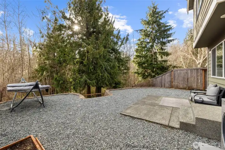Spacious low maintenance back yard with terraced garden space.