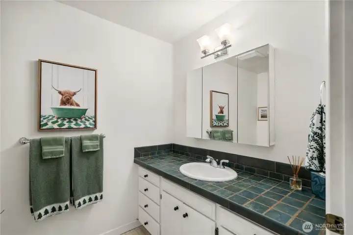 Downstairs bathroom