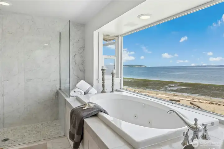 Tub and spacious walk in shower