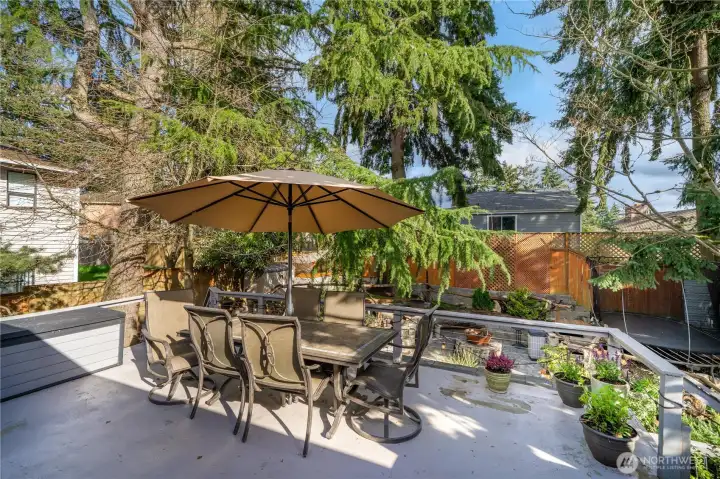 The backyard was designed for entertaining...