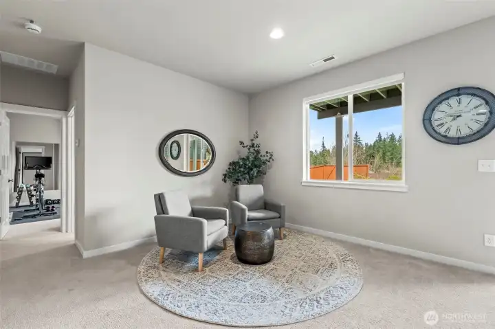 Lower Level Rec Room