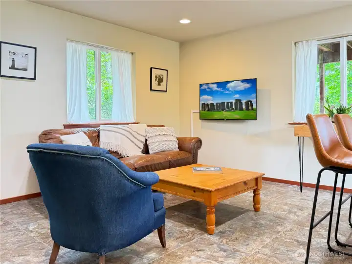 Lower level living room