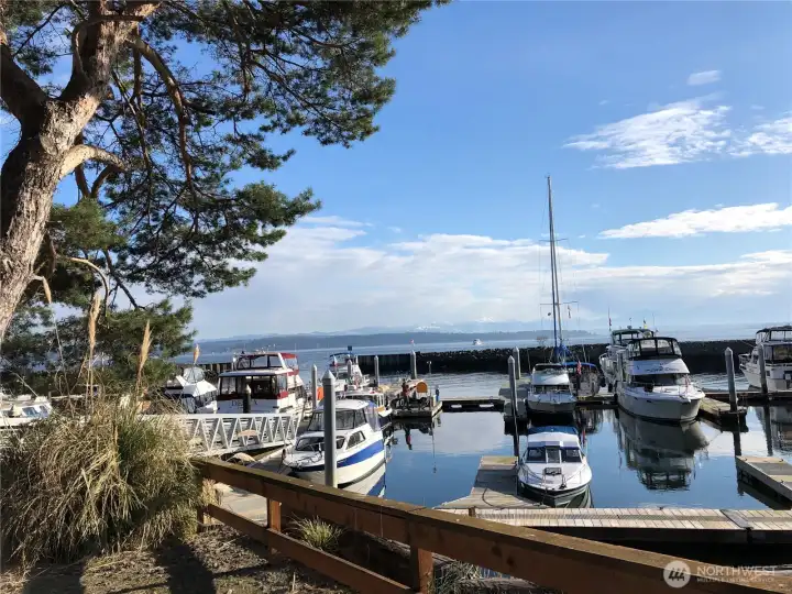Hat Island Marina