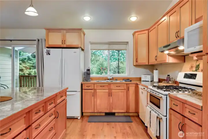 Open kitchen view of the back yard