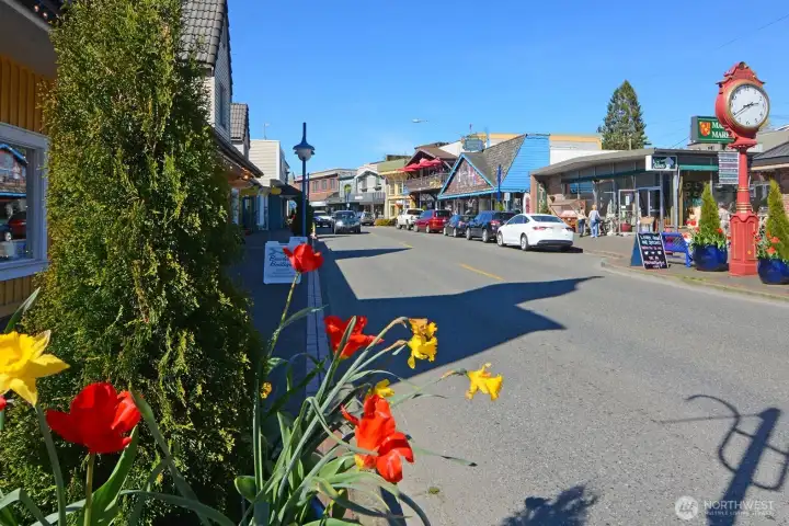 Just 3 min drive or half-mile walk to Downtown Poulsbo, shops, restaurants and waterfront park