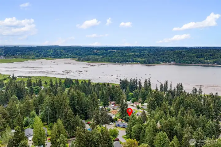 Ariel view showing the proximity to HOA community waterfront park.