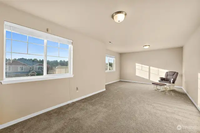 Bonus room with closet. Great for playroom, office/extra entertainment space.