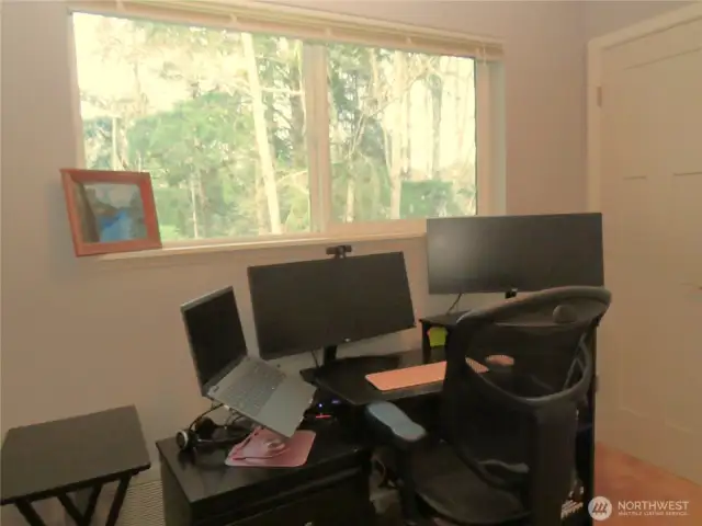 ANOTHER VIEW OF THE SECOND BEDROOM/OFFICE!