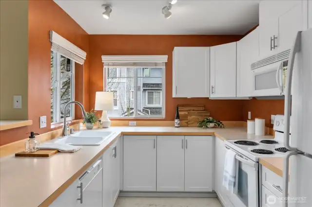 Spacious kitchen has TWO windows and loads of natural light.
