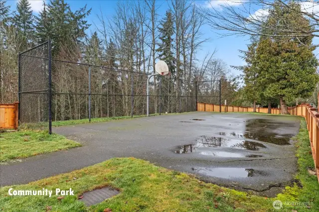 Neighborhood sport court.