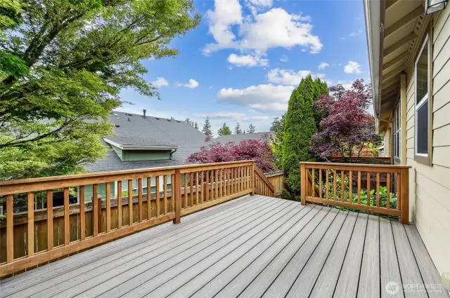 Brand new composite decking and railings.
