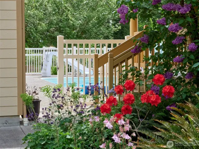 Walkway to Pool