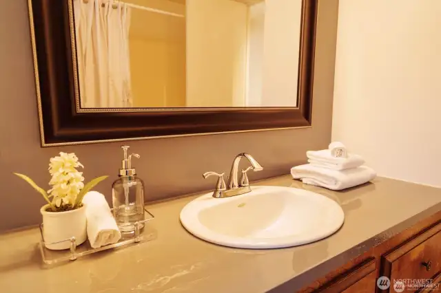 Owner's Suite bath with walk in shower