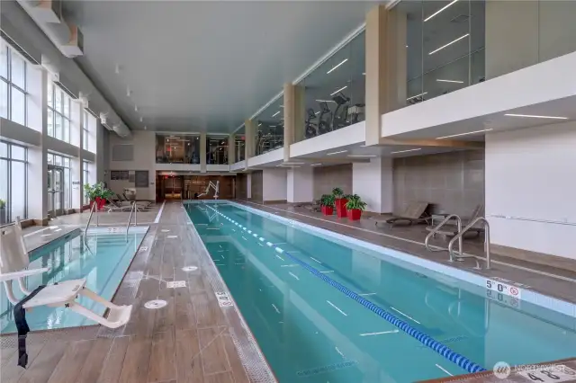 Swimming pool and spa