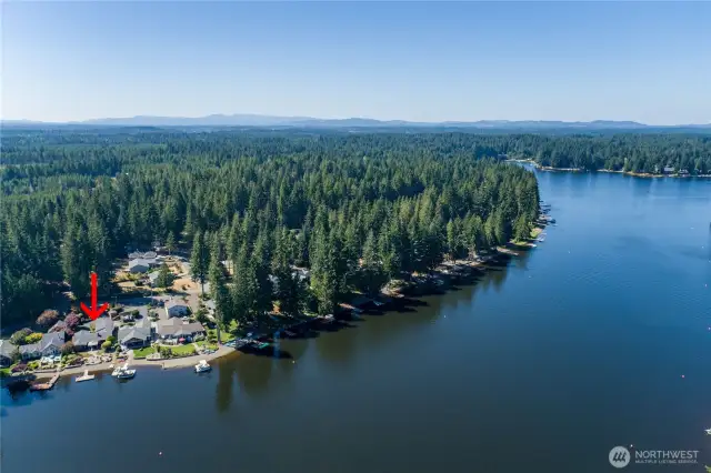 Aerial