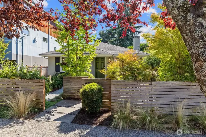 Beautiful mature landscaping design
