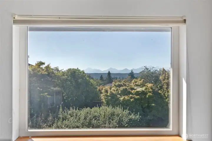 Primary View