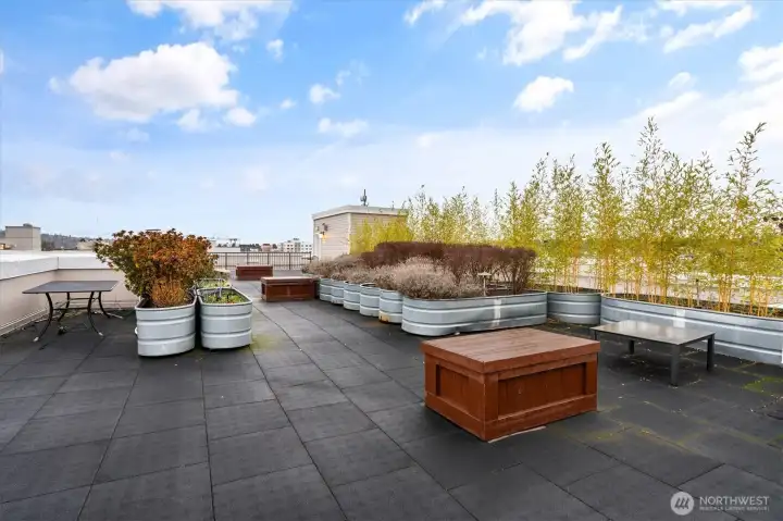 The roof deck is a wonderful amenity for summer evenings.