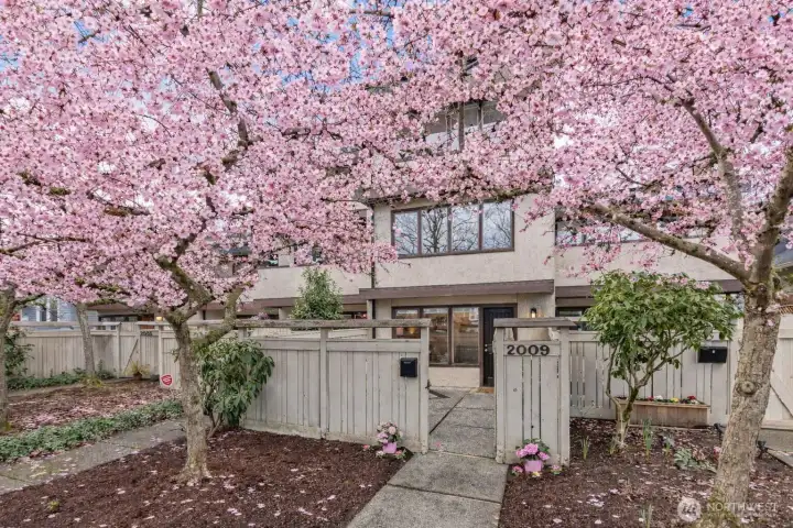 A glimpse into spring