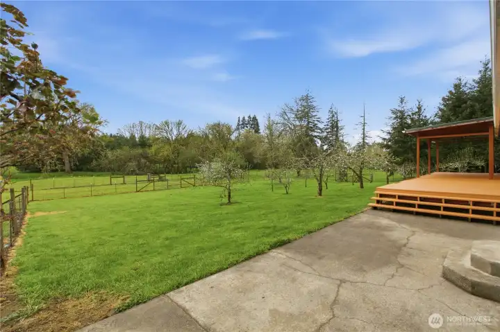 cement patio area contiues on the back of the house and turns into a nice sized deck for company.