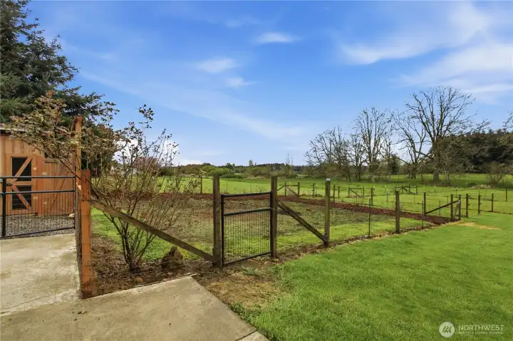 looking at the garden from the back deck.