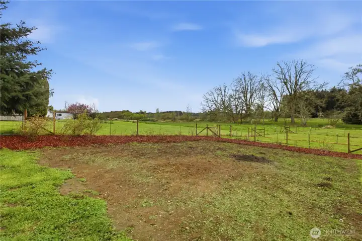 fenced large garden area. Blue berries and raspberries with grape arbor.