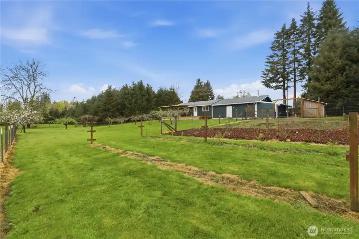 looking back at the house from the left middle of the property.