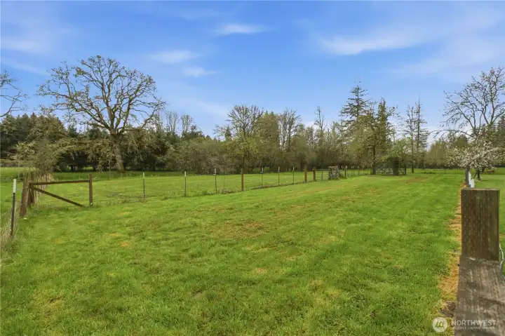 Gated back pasture, perfect for animals