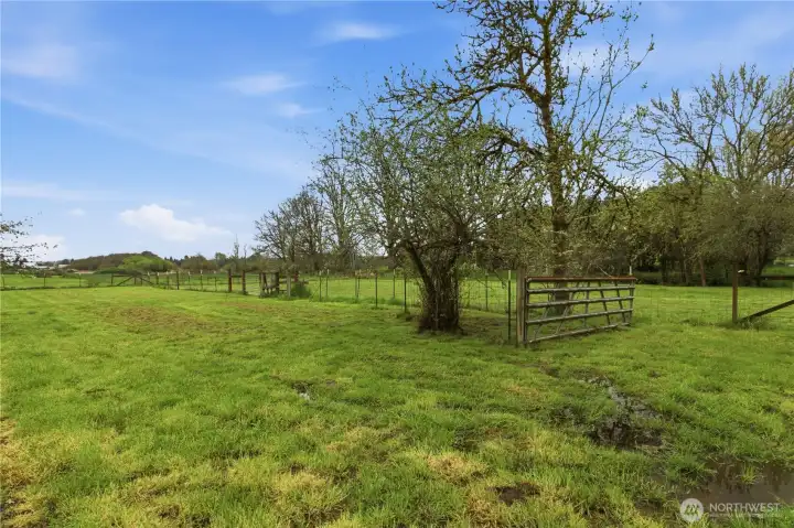 right side field beyond the gate.