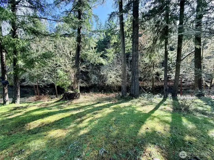 Close up of the serene pond.
