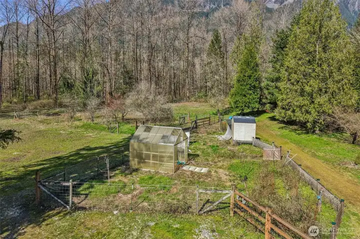 Chicken coop and green house