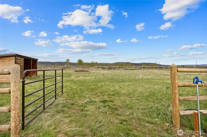 Custom enclosed space, safe for horses and other animals (close to an acre)