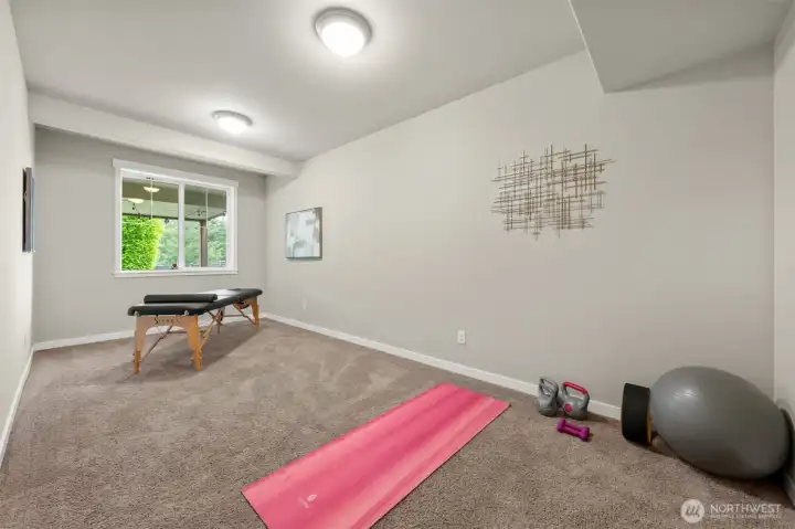 A generously sized lower level bonus room with natural light and plush carpet — use it as a home gym, playroom, hobby space, or fifth bedroom alternative. The flexibility here is genuinely rare.
