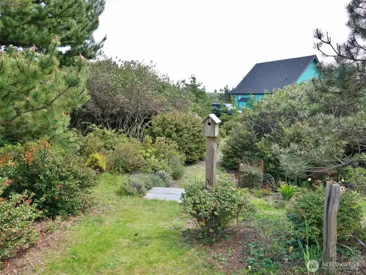 Extra Lot adds more space to spread out.