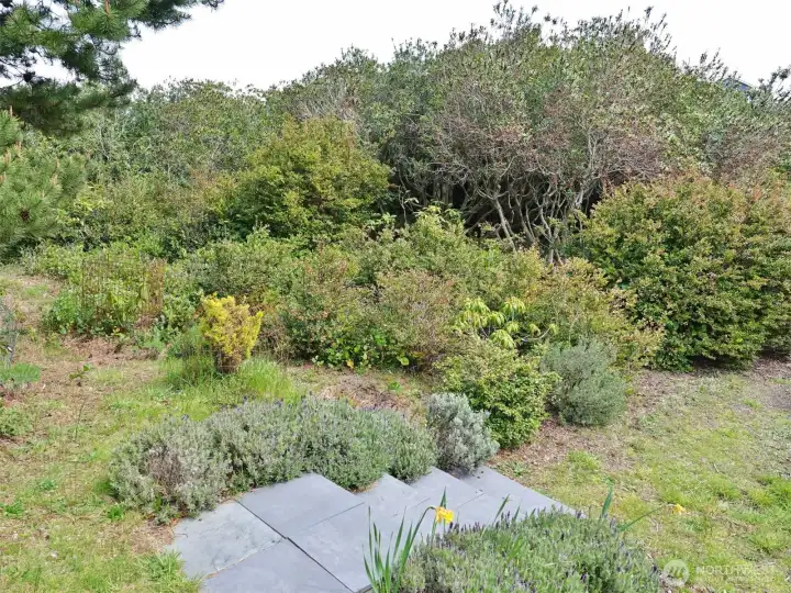 Step down to the extra lot.