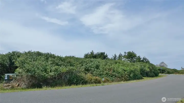 Front of the extra lot along Crestshire Lp.