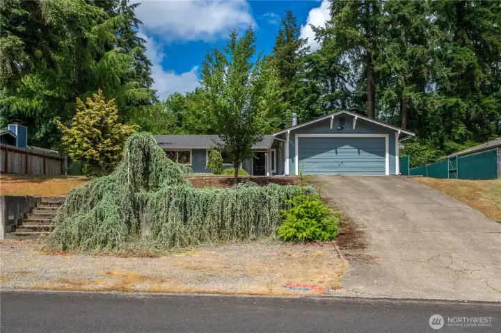 Large 1/4 acre lot with tons of parking Large 1/4 acre lot with tons of parking