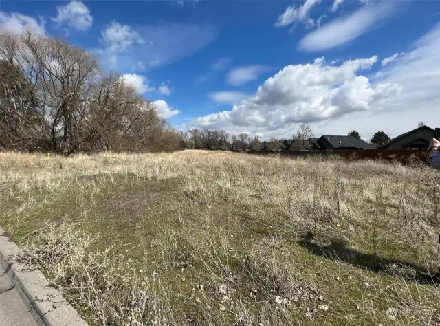 Looking Northeast onto property from Stevens St.