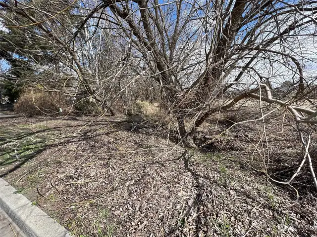 Looking Northeast onto property near stream