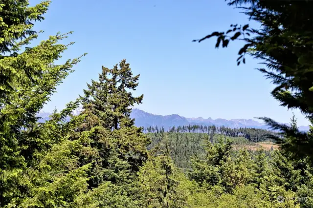 Drone close up of Olympic mountains - 2 story home would probably offer some fantastic views!