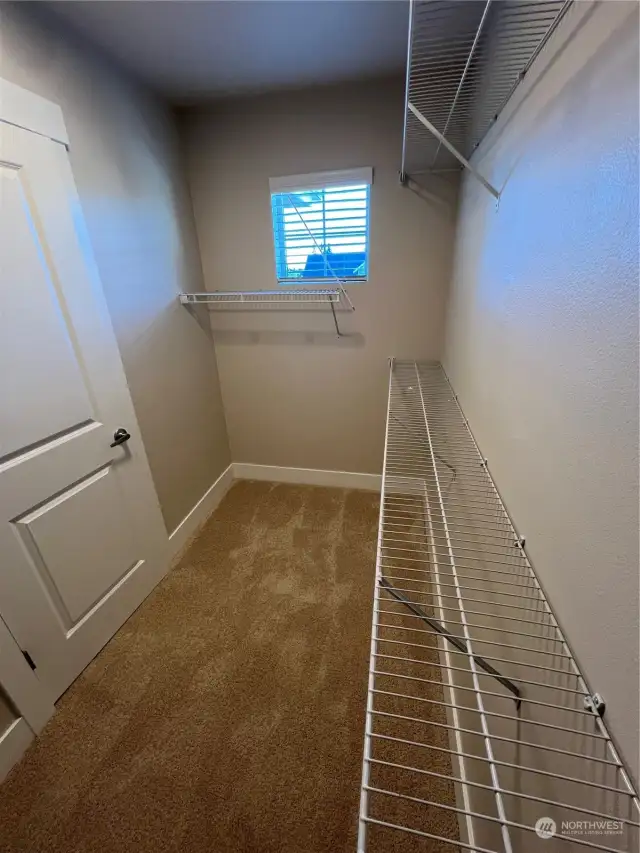Primary walk-in closet with a view