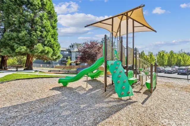 Playground area