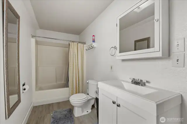 Unit 3101A bathroom