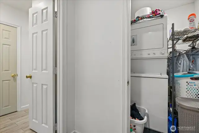 Unit 3101B laundry
