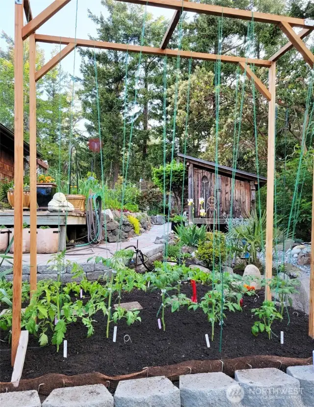garden space