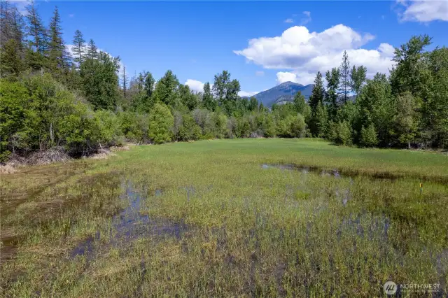 Seasonal wetland meadow supports local wildlife and enhances the property’s serene, sanctuary-like setting.